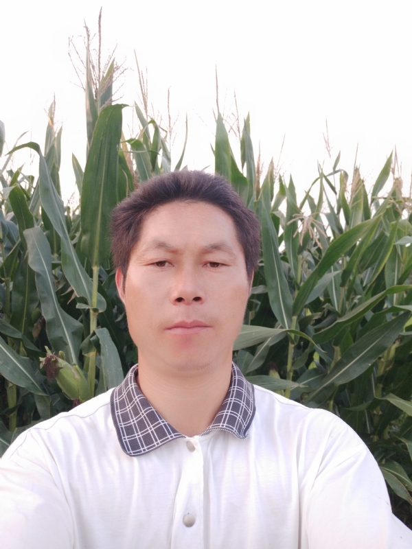 四海游龙的第一张照片--湖北交友中心
