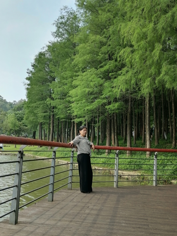 遗失的记忆的第二张照片--湖北交友中心